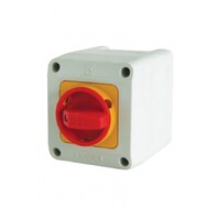 PSK21 - Инстин